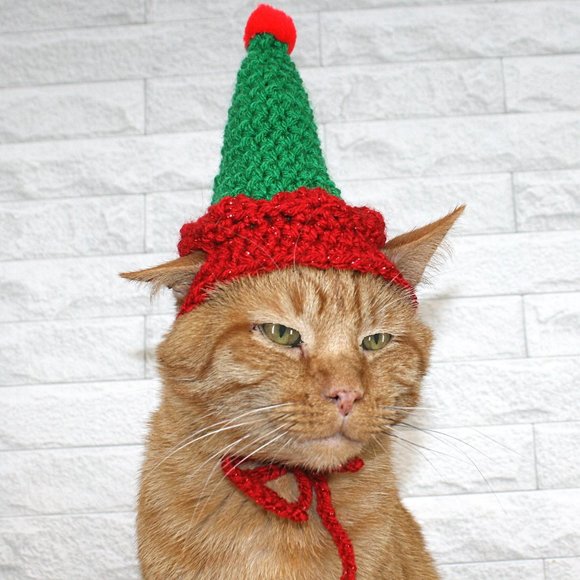 HAND CRAFTED Crochet Elf Cat Hat Costume Photo Prop Green Christmas Holiday - Picture 1 of 11